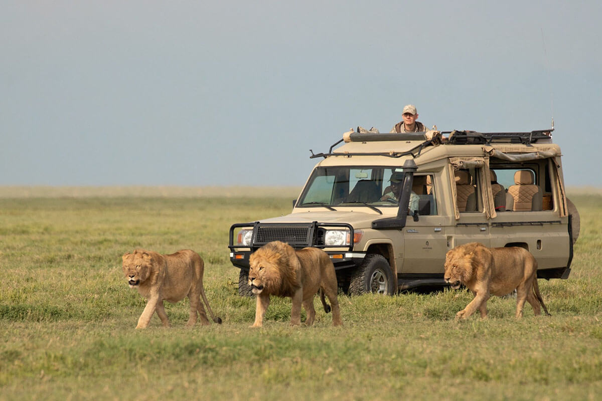 4 days tanzania safari