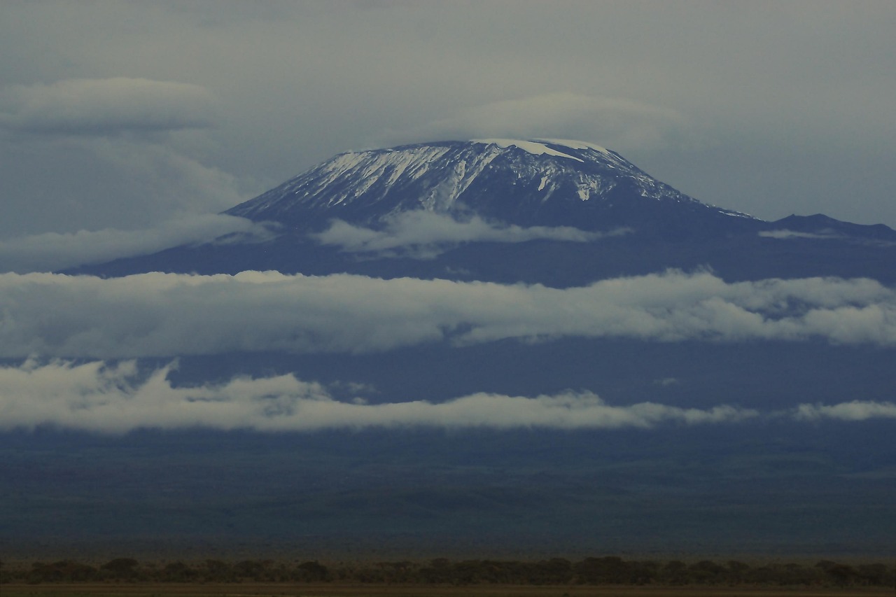 kilimanjaro