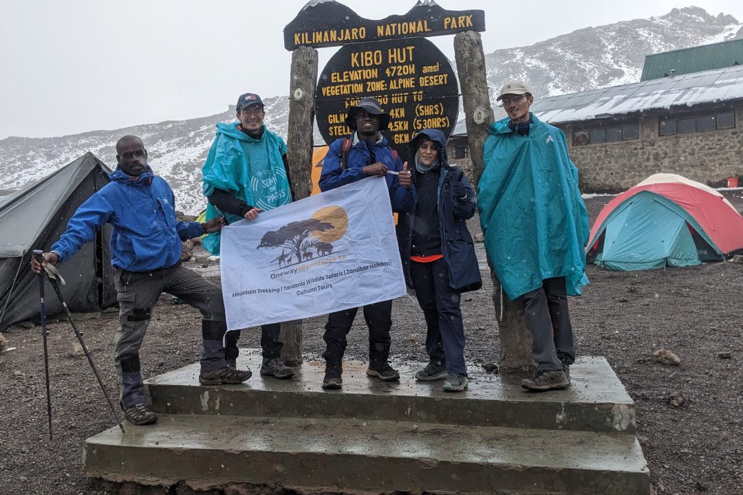 7-Days-Machame-Route-one-way-adventures