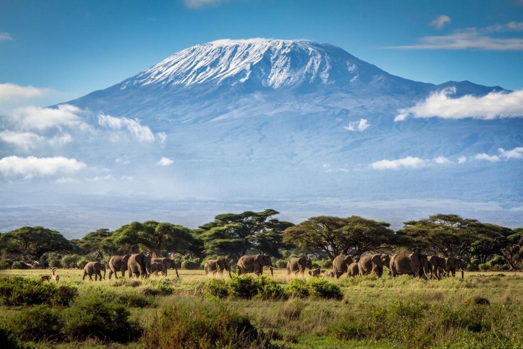 779023-2048x1365-desktop-hd-mount-kilimanjaro-background