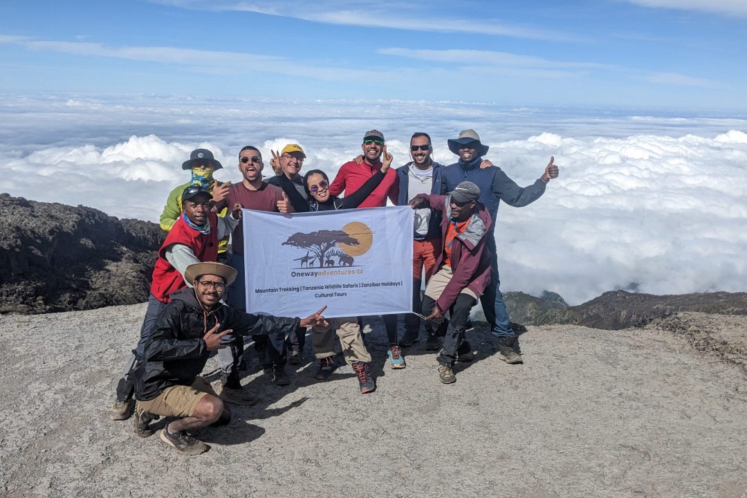 8 Days Lemosho Route - one way adventures