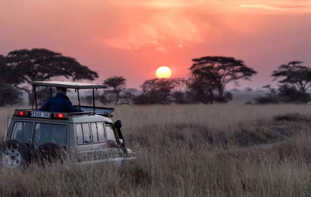 Sunrise-in-Serengeti-hu-chen-unsplash-e1738579284397-1920x1080