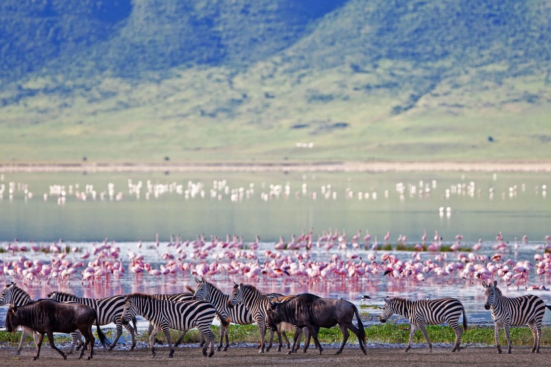 ngorongoro-crater